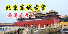 开操网中国北京-东城古宫旅游风景区
