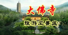 骚逼啊啊啊啊视频中国浙江-新昌大佛寺旅游风景区